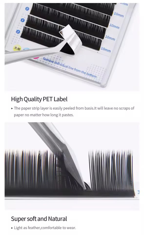 GLAM LASH ECLIPSE FLAT