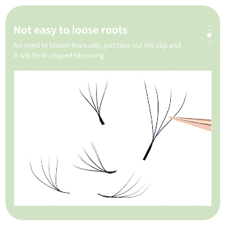 DIYDAY 4D W double tips