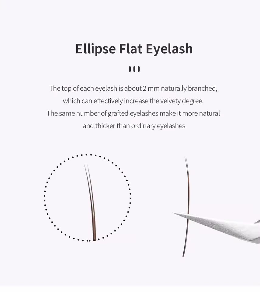 GLAM LASH ECLIPSE FLAT MARRÓN