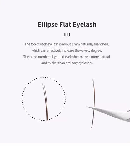 GLAM LASH ECLIPSE FLAT MARRÓN