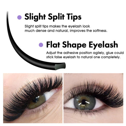 Masscaku Eclipse Flat