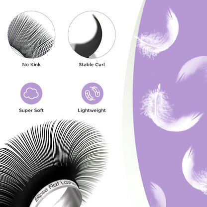 Masscaku Eclipse Flat