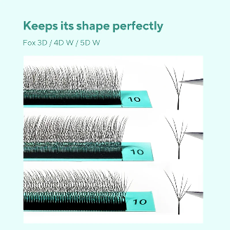DIYDAY FOX 4D W-shaped