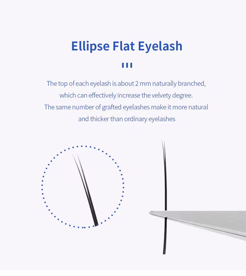 GLAM LASH ECLIPSE FLAT