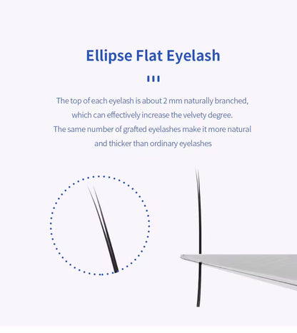 GLAM LASH ECLIPSE FLAT