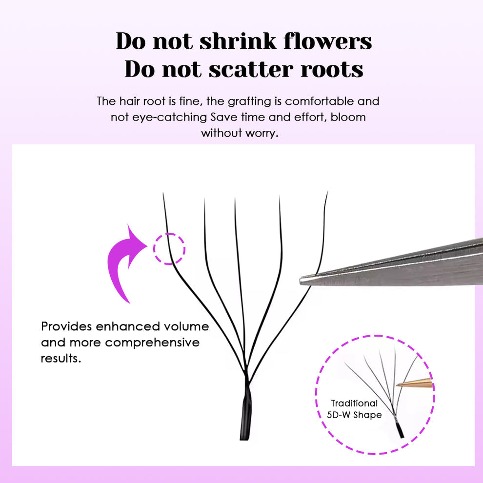 Masscaku 5D w-shaped
